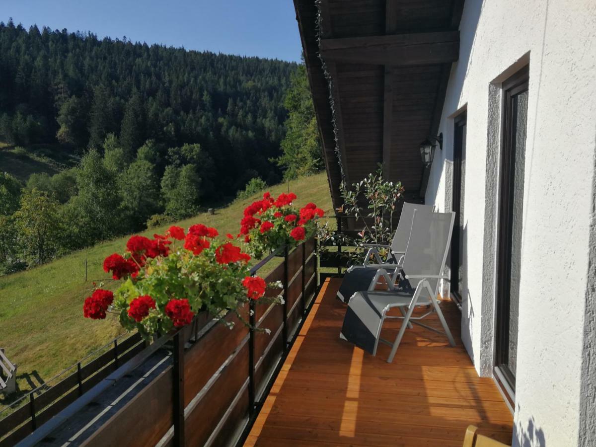 Ferienhaus Enzquelle Enzklösterle Exterior foto